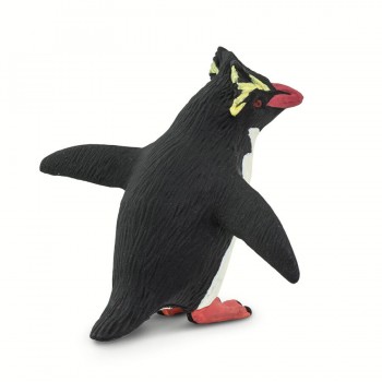 Rockhopper Pingvīns Rockhopper Pingvīns