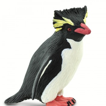 Rockhopper Pingvīns Rockhopper Pingvīns
