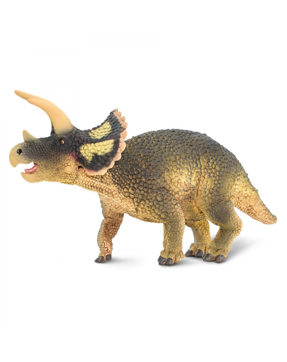 Triceratopss