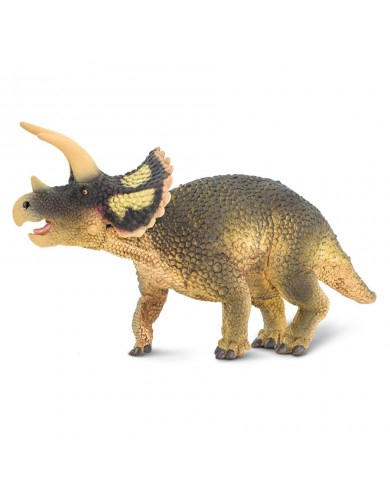 Triceratopss