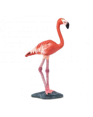 Flamings - SAFARI Ltd.