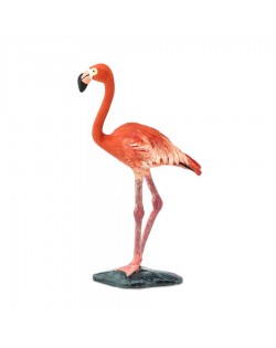 Flamings - SAFARI Ltd.