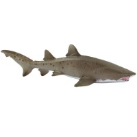 Smilšu Tīģeru Haizivs - Safari Ltd.