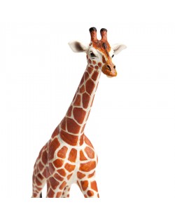 Somālijas Žirafe - SAFARI Ltd.