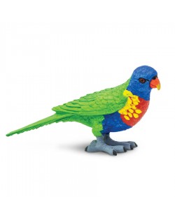 LORIINI/LORIKEET - SAFARI Ltd.