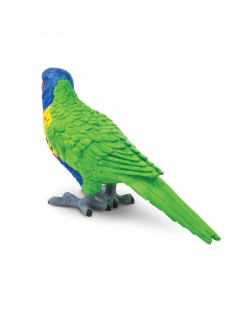 LORIINI/LORIKEET - SAFARI Ltd.