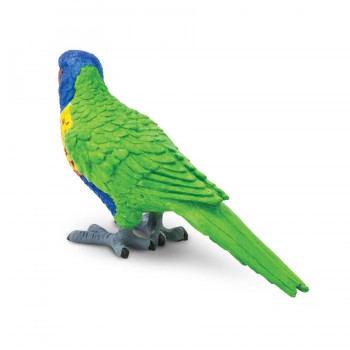 LORIINI/LORIKEET - SAFARI Ltd.