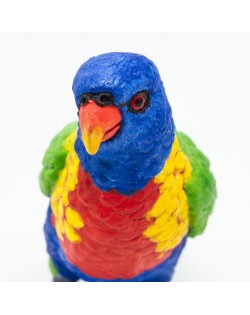 LORIINI/LORIKEET - SAFARI Ltd.