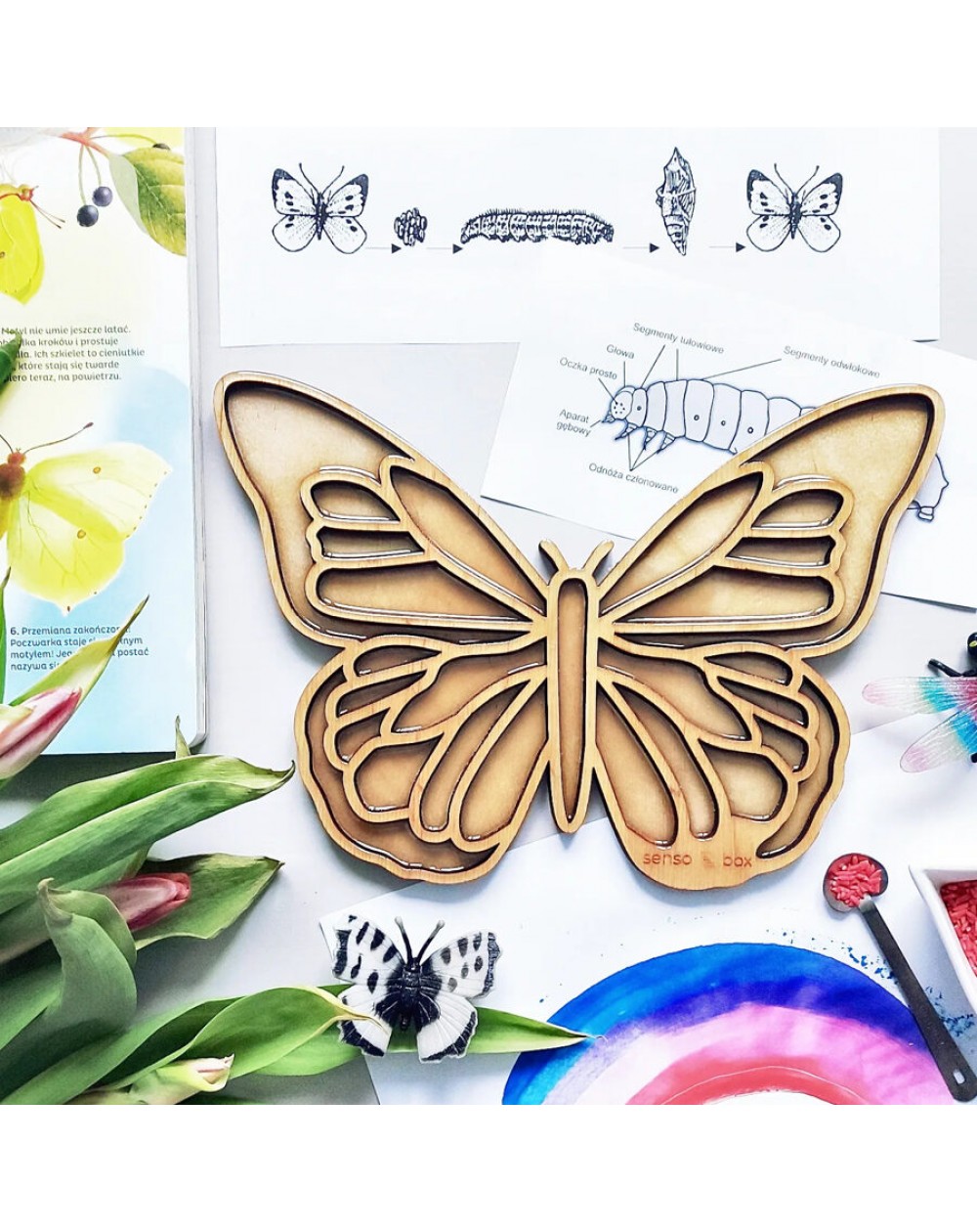 Sensorā Kaste Butterfly