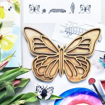 Sensorā Kaste Butterfly