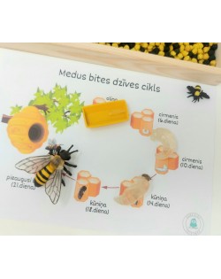 Sensoro Rotaļu Komplekts HoneyBee - OUWAKIDS