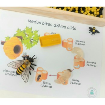 Sensory Play Set HoneyBee - OUWAKIDS