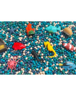 Sensoro Rotaļu Komplekts Ocean Life - OUWAKIDS