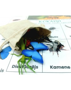 Kartiņu Un Figūriņu Komplekts "Mazās Radības" - OUWAKIDS Kartiņu Un Figūriņu Komplekts "Mazās Radības" - OUWAKIDS