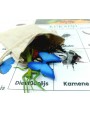Kartiņu Un Figūriņu Komplekts "Mazās Radības" - OUWAKIDS