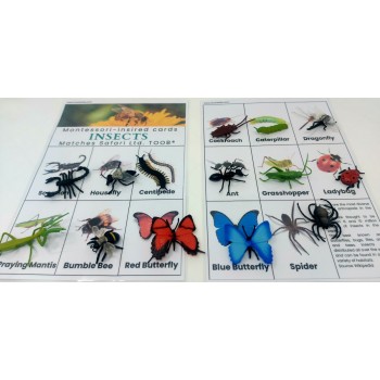 Card and Figure Set Little Creatures - OUWAKIDS