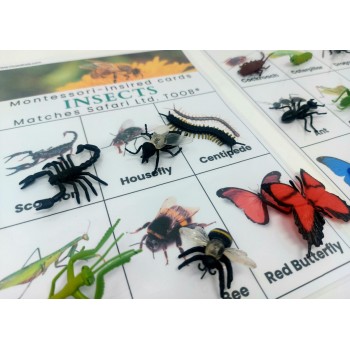 Card and Figure Set Little Creatures - OUWAKIDS