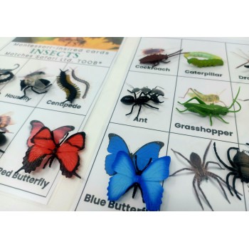 Card and Figure Set Little Creatures - OUWAKIDS