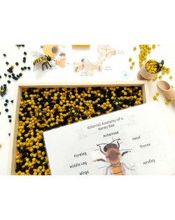 Sensoro Rotaļu Komplekts HoneyBee - OUWAKIDS