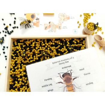 Sensory Play Set HoneyBee - OUWAKIDS