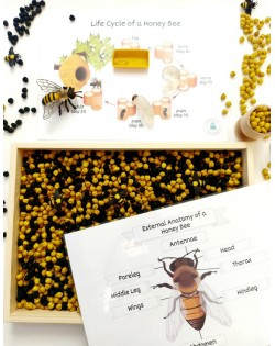 Sensoro Rotaļu Komplekts HoneyBee - OUWAKIDS