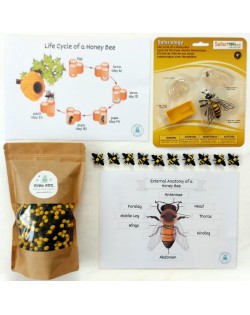Sensoro Rotaļu Komplekts HoneyBee Life - OUWAKIDS