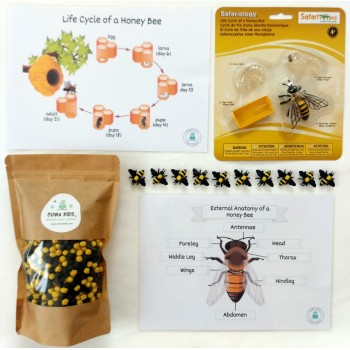 Sensory Play Set HoneyBee Life - OUWAKIDS