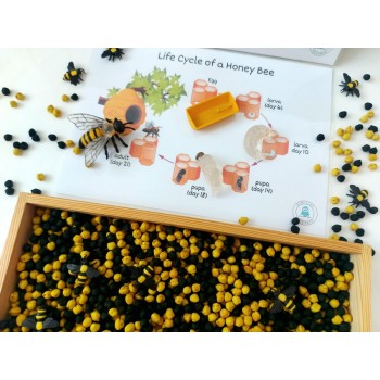 Sensory Play Set HoneyBee Life - OUWAKIDS