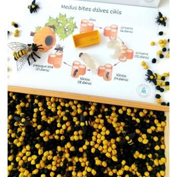 Sensory Play Set HoneyBee Life - OUWAKIDS