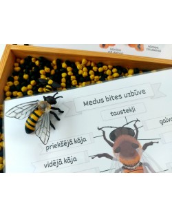 Sensoro Rotaļu Komplekts HoneyBee Life - OUWAKIDS
