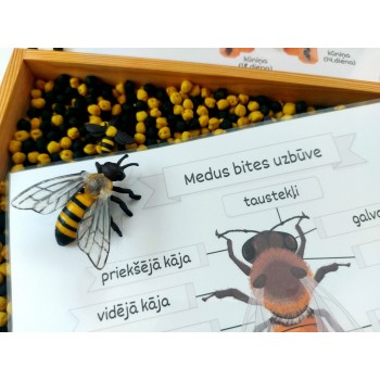 Sensory Play Set HoneyBee Life - OUWAKIDS