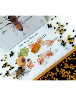 Sensoro Rotaļu Komplekts HoneyBee Life - OUWAKIDS