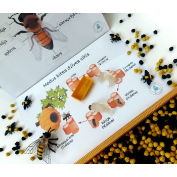 Sensory Play Set HoneyBee Life - OUWAKIDS