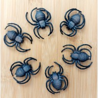 Spider - SAFARI Ltd.