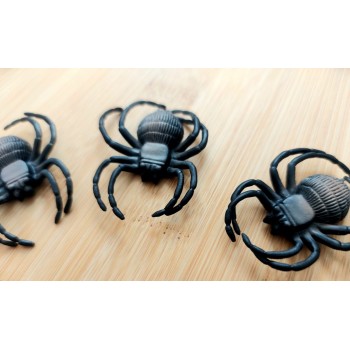 Zirneklis Safari Ltd.