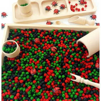 Sensoro Rotaļu Komplekts Ladybug Life - OUWAKIDS Sensoro Rotaļu Komplekts Ladybug Life - OUWAKIDS