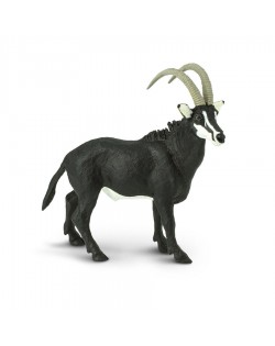 Sable Antilope - SAFARI Ltd.