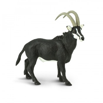 Sable Antelope - SAFARI Ltd.