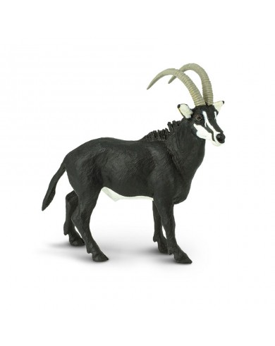 Sable Antilope - SAFARI Ltd.