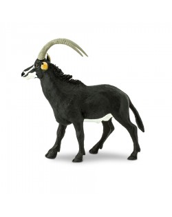 Sable Antilope - SAFARI Ltd.