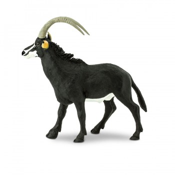 Sable Antelope - SAFARI Ltd.