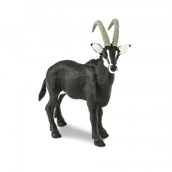Sable Antelope - SAFARI Ltd.