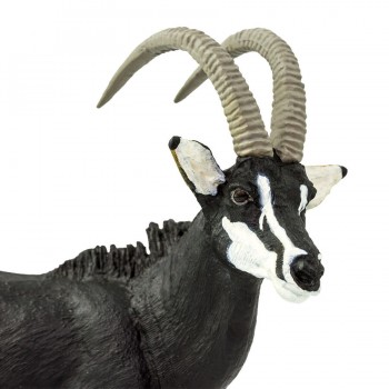 Sable Antelope - SAFARI Ltd.