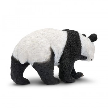 Panda - SAFARI Ltd.