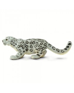 Sniega Leopards