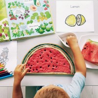Sensory Tray Watermelon