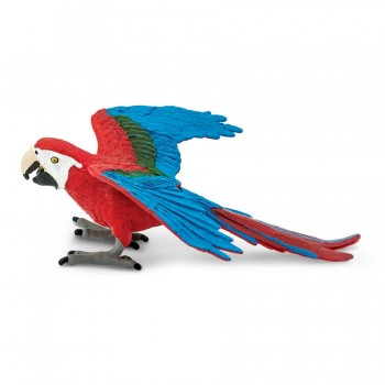 Green-Winged Macaw Parrot - SAFARI Ltd.