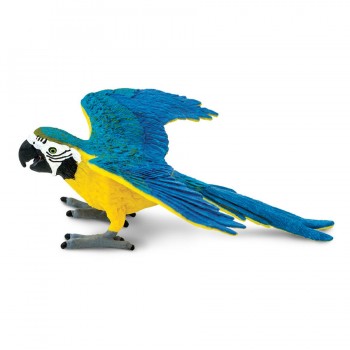 Parrot Blue&Gold; Macaw - SAFARI Ltd.