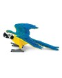 Papagailis Blue&Gold Macaw - SAFARI Ltd.