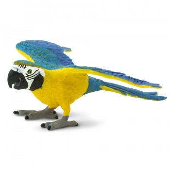 Parrot Blue&Gold; Macaw - SAFARI Ltd. Parrot Blue&Gold; Macaw - SAFARI Ltd.